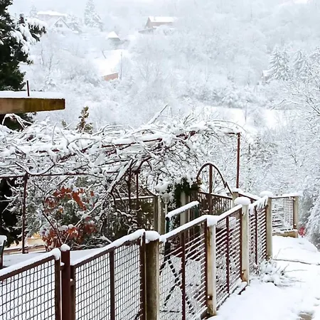 Nikola Apartament Rakovac