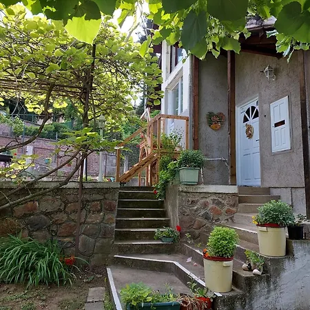 Apartament Nikola Rakovac