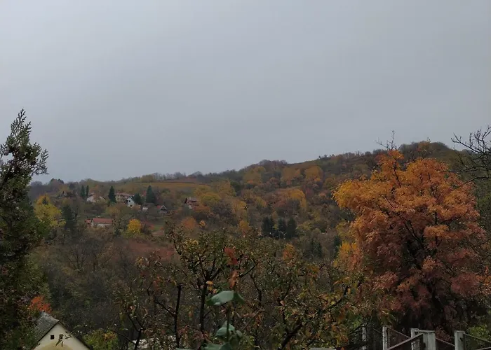 Apartamento Nikola *