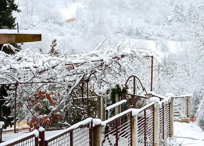 Nikola Apartamento Rakovac